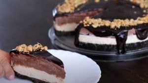 How To Make Chocolate Peanut Butter Ice Cream Cake - Recipe