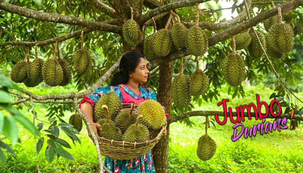 Durian fruit and dishes