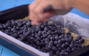 How to make Blueberry Oat Crumble Bars